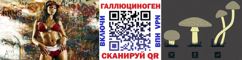 сколько стоит  Кизел  Псилоцибиновые грибы GOLDEN TEACHER 